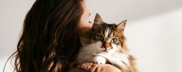 compagnon